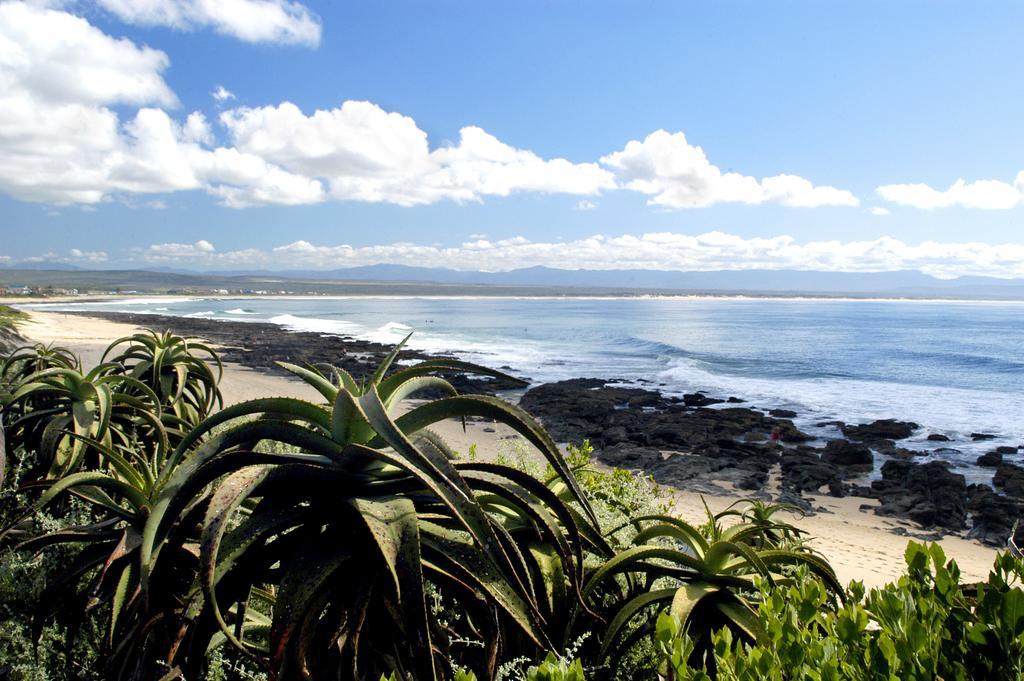 Jikeleza Lodge Port Elizabeth Eksteriør bilde